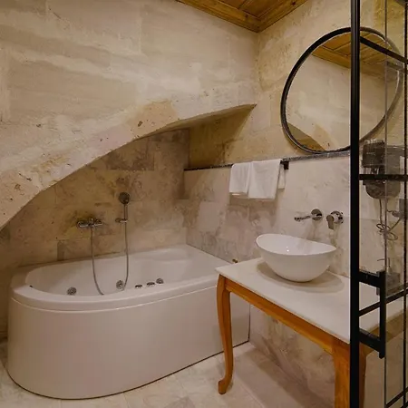 Concept Cave House